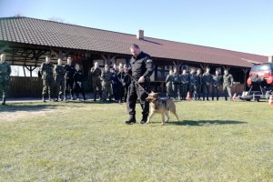 Pokaz pracy psa służbowego