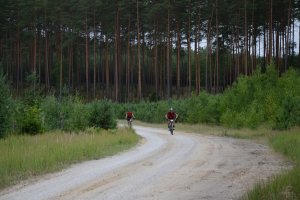 Zawodnicy podziwiają krajobrazy Borów Tucholskich