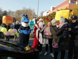 uczniowie z polfinem i wzorowym kierowcą