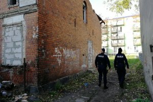 Policjanci sprawdzają budynek