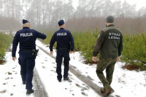 Policjanci i Strażnik leśny idą w kierunku szkółki leśnej