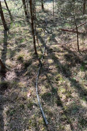 Uszkodzony kabel leżący w lesie