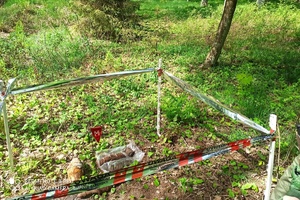 Niewybuchy znalezione na terenie Nadleśnictwa Dąbrowa