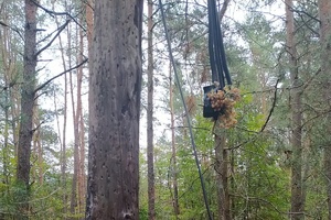 Zniszczone przewody telekomunikacyjne