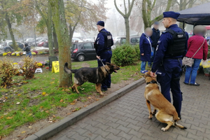 Policyjni przewodnicy psów patrolują teren przy cmentarzu