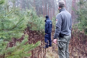 Funkcjonariusze sprawdzają teren leśny