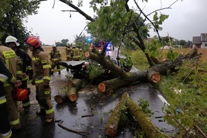 Konary drzew, które przygniotły osobówkę na drodzę