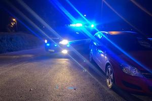 Radiowóz i zatrzymane do kontroli auto