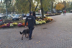 Policyjny przewodnik psa patroluje teren przy cmentarzu