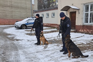 Przewodnicy psów prezentują swoich podopiecznych