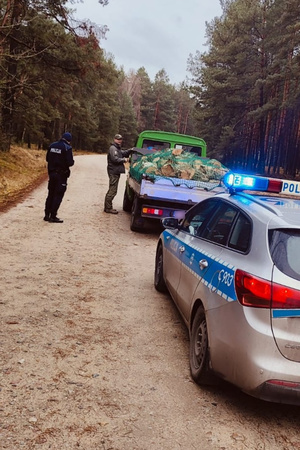 Policjant i strażnik leśny kontrolują kierowcę przewożącego drewno