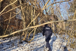 Policjant przechodzi przez zadrzewiony teren