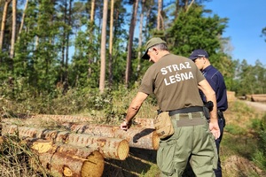 Mundurowi podczas działań &quot;Jesień 24&quot;