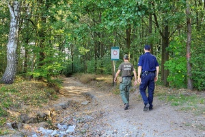 Mundurowi idą drogą leśną