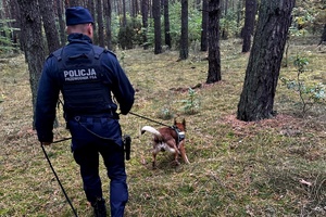 Pies prowadzi policjanta po tropie