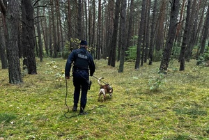 Policjant porusza się wraz z psem po lesie