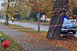 Policjant kieruje ruchem