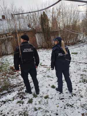 Mundurowi sprawdzają okolice garaży