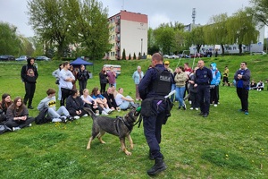 Policjanci podczas pikniku charytatywnego prowadzą pokaz posłuszeństwa psa i prezentują sprzęt służbowy