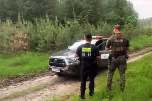 Policjant i strażnik leśny obserwuję teren lasu
