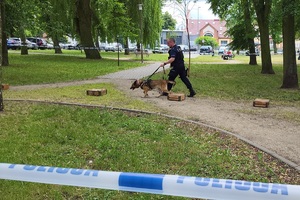 Policjanci podczas pikniku rodzinnego z okazji 100-laecie powołania kobiet w Policji