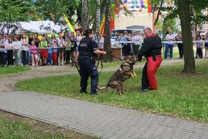Policjanci i pracownicy OPS podczas pikniku rodzinnego dla mieszkańców powiatu świeckiego