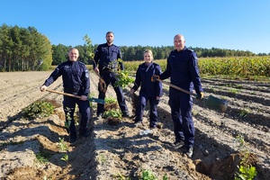 Policjanci oraz przedstawiciele innych służb podczas akcji zalesiania lasu