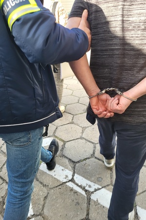 Zatrzymany przez policjantów właściciel nielegalnej uprawy