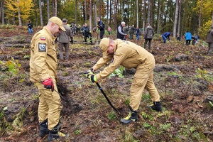 Policjanci i przedstawiciele samorządów wspólnie sadzą las