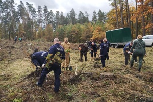 Policjanci i przedstawiciele samorządów wspólnie sadzą las