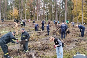 Policjanci i przedstawiciele samorządów wspólnie sadzą las