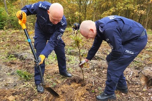 Policjanci i przedstawiciele samorządów wspólnie sadzą las