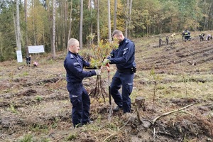 Policjanci i przedstawiciele samorządów wspólnie sadzą las
