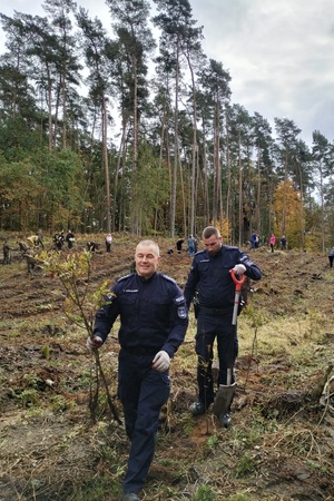 Policjanci i przedstawiciele samorządów wspólnie sadzą las