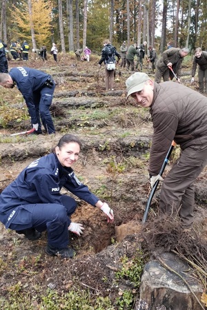 Policjanci i przedstawiciele samorządów wspólnie sadzą las