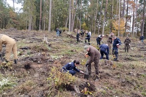 Policjanci i przedstawiciele samorządów wspólnie sadzą las