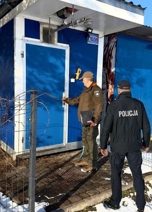 Funkcjonariusze kontrolują punkt skupu dziczyzny