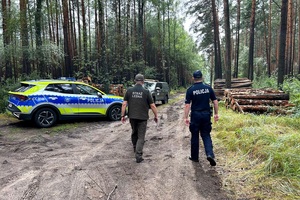 Policjanci i Strażnicy Leśni kontrolują miejsca składowania drewna