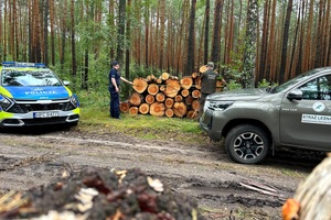 Policjanci i Strażnicy Leśni kontrolują miejsca składowania drewna