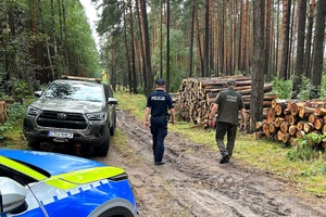 Policjanci i Strażnicy Leśni kontrolują miejsca składowania drewna
