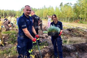 Policjanci z przedstawicielami innych instytucji sadzą las