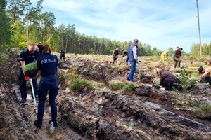 Policjanci z przedstawicielami innych instytucji sadzą las